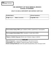 Adult_2_Care_Plan (2).docx