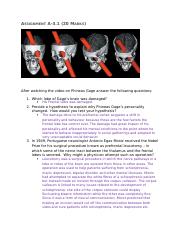 A-3.1 Assignment Phineas Gage.docx