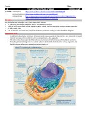 1.2 The Ultrastructure of Cells Assignment 1a.docx
