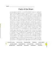 Parts of Brain word search.docx