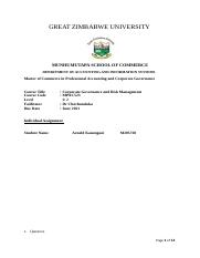 Arnold Kanengoni (M205720) MPAC523  Indvidual Assignment.docx