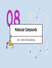 08 - Molecular Compounds.pdf
