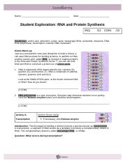 Gizmo 5 - Rna And Protein Synthesis Reviseddoc - Name Date Student Exploration Rna And Protein Synthesis Inq12 Com Vocabulary Amino Acid Anticodon Course Hero