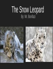The_Snow_Leopard