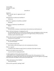 Annelid-lab Questions-4-17-20.docx
