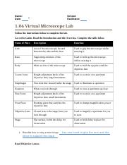 01.06 Virtual Microscope Lab.docx