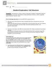 CellStructureSE (1).docx