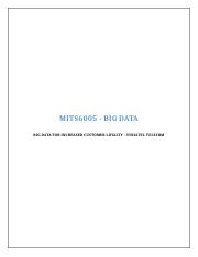 MITS6005 Big data.docx