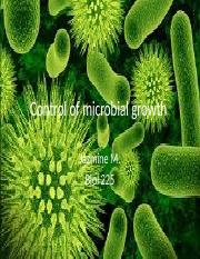 microbial growth 