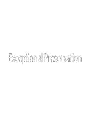 7 - Exceptional preservation.docx