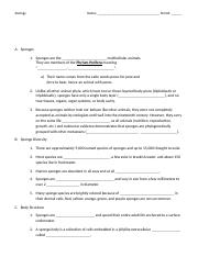 3_Porifera Notes _ student version (1).docx.pdf