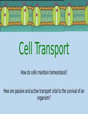 Cell Transport Notes.pptx