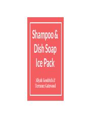 Shampoo & Dish Soap Ice Pack.pdf