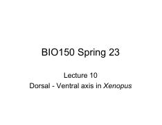 BIO150 S23 Lecture 10 D-V axis in Xenopus.pdf