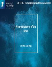 FON Neuroanatomy of the brain.pdf