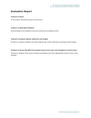 Evaluation Report Template.docx