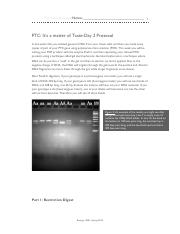 PTC Lab Manual edited Sp 2020 Part 2.pdf