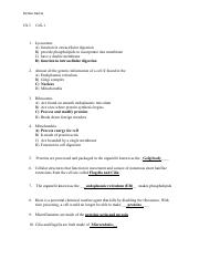 Ch 3.-1  assignment.pdf