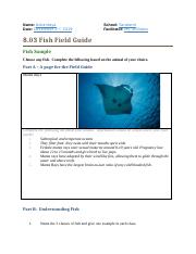 8.03 Fish Field Guide.docx