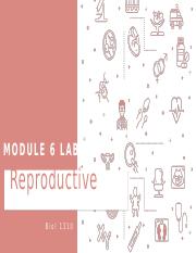 Module 6 Reproductive System Case Study and Quizzes.pptx