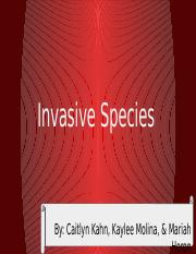 Invasive Species (in VA)