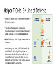 Helper T Cells.pptx