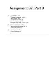 Assignment B2 Part B.pdf