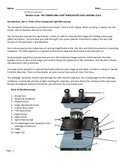 Module 4 Lab The Light Microscope and Viewing Cells-1 (1).pdf
