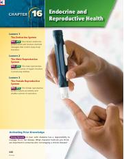 Chap%2016%20Endocrine%20and%20Reproductive%20Health (6).pdf