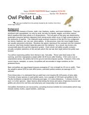 Angelica Martinez Huerta - Owl Pellet Lab