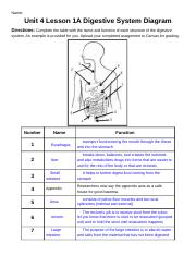 Copy of Human Science_ Unit 4 Lesson 1A Digestive System Diagram.docx