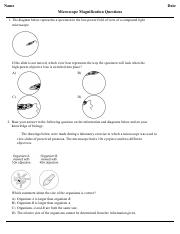 Microscope_Magnification_Questions_1602184053083_sc.pdf