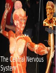 Student Central Nervous System PPT Part 1 8.pptx