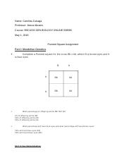 punnet square assignment