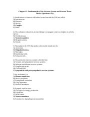 Chapter 11-Fundamentals of the Nervous System and Nervous Tissue- Review questions-Key.doc