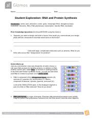 Protein Synthesis Gizmo Updated.docx