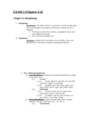 COMD2050 Exam 2 Notes
