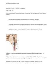 Respiratory worksheet.docx