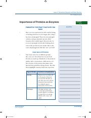 Kami Export - INES RIVERO DE AGUILAR ZHER - Importance of Proteins as Enzymes - Student Worksheet (1