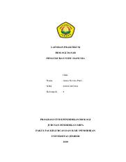 Laporan Praktikum Biologi Dasar Acara 8_Anisa Novita Putri_200210103014 (1).pdf