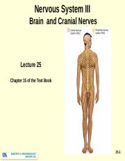 Lecture 25 - Nervous System 3