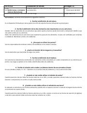 EstáticaEC13_Diego Hernández.pdf