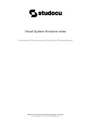 visual-system-iii-lecture-notes.pdf
