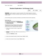 GIZMO 3 - CELL ENERGY REVISED (1).docx