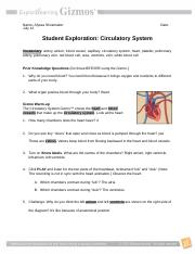 Circulatory System Question Sheet.docx