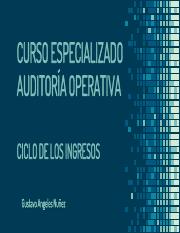 Auditoría+Operativa_S3.pdf