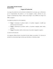 ETAPAS DE PRODUCCION.docx