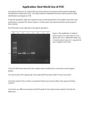 DNA_Application-S2021.docx