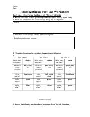 Photosynthesis Post-Lab Worksheet.docx