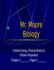 Cellular Energy Photosynthesis and Cellular Resp .ppt